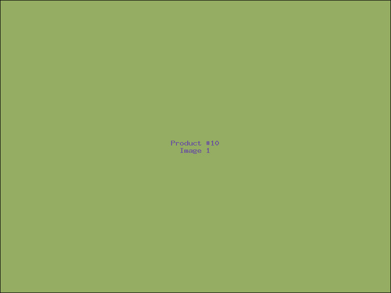 Example Product 10