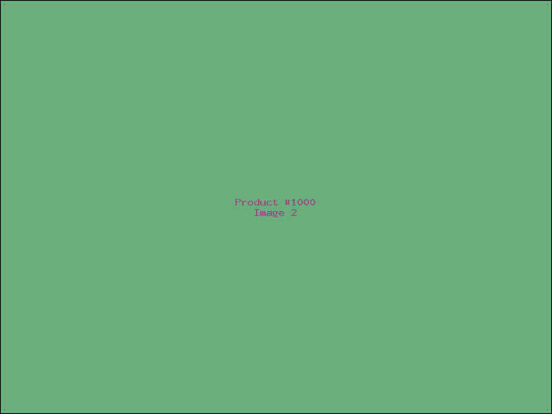Example Product 1000 - Image 2