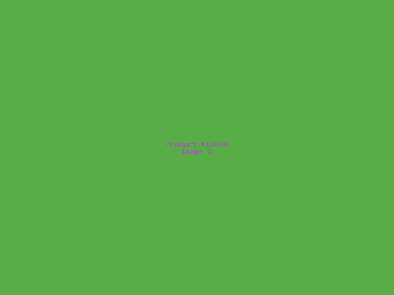 Example Product 10000 - Image 2