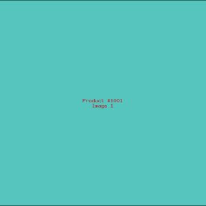 Example Product 1001