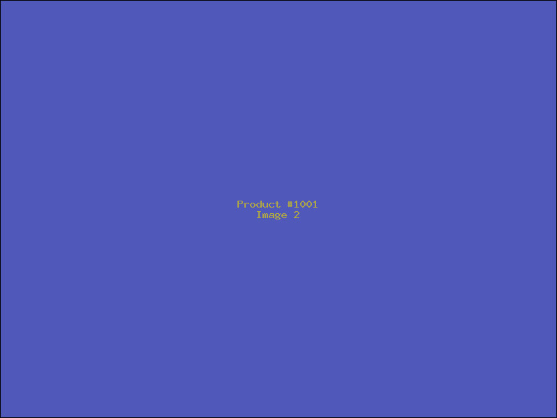 Example Product 1001 - Image 2