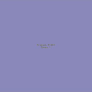 Example Product 1002