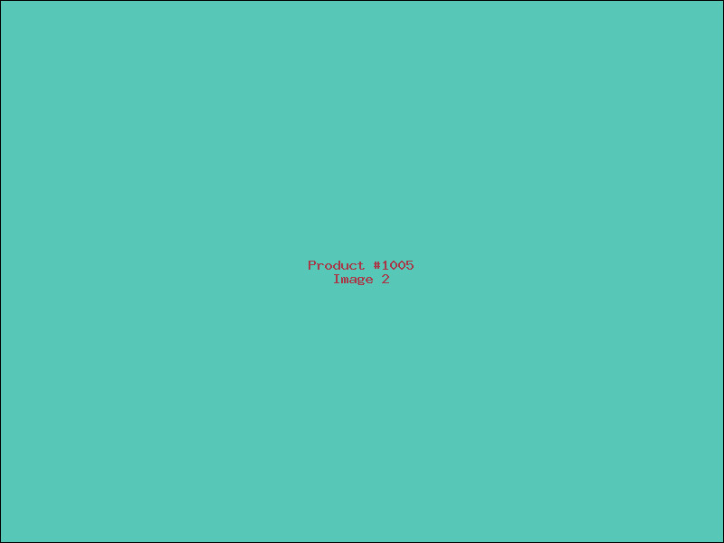 Example Product 1005 - Image 2