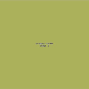 Example Product 1008