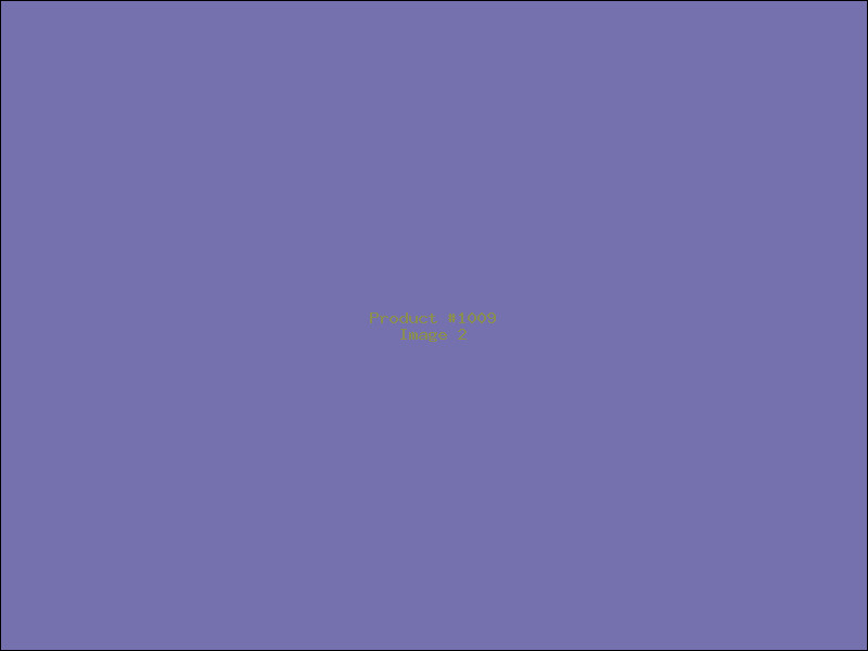 Example Product 1009 - Image 2