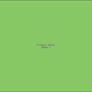 Example Product 1011