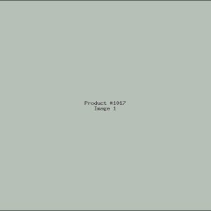 Example Product 1017
