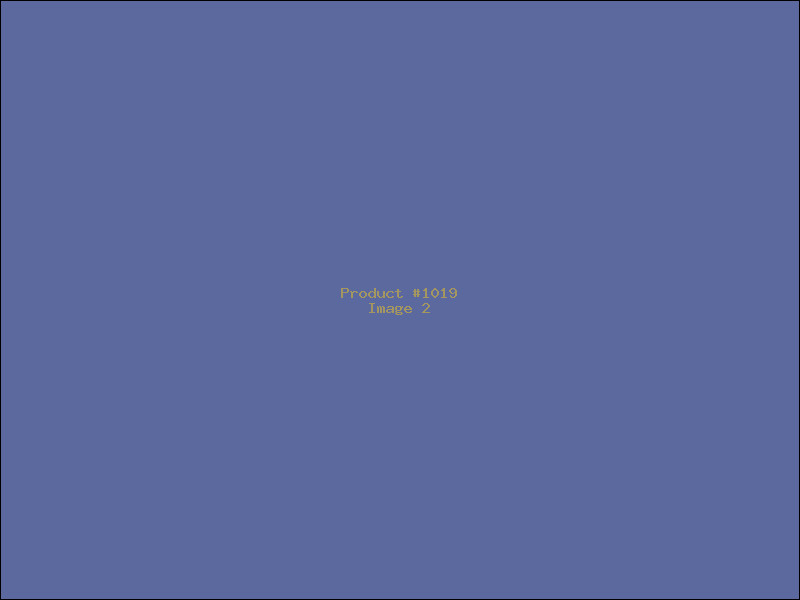 Example Product 1019 - Image 2