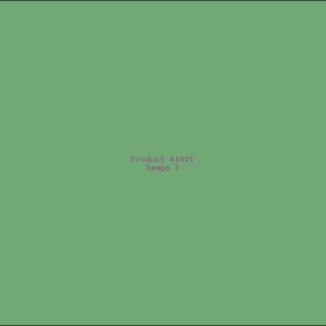 Example Product 1021