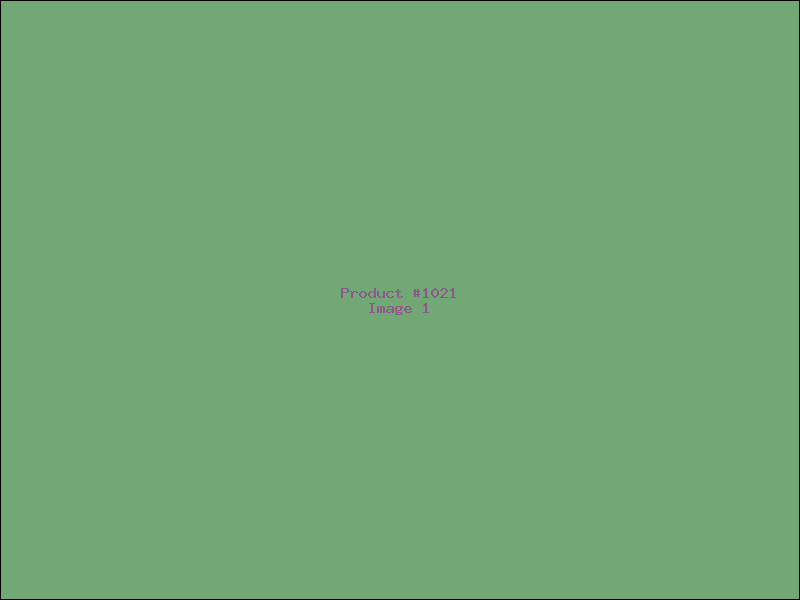 Example Product 1021