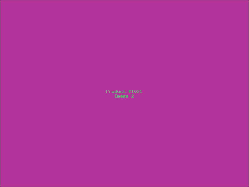 Example Product 1021 - Image 2