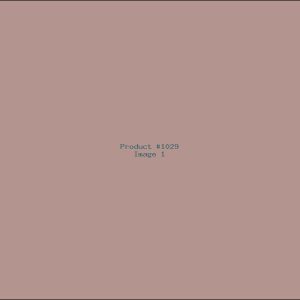 Example Product 1029