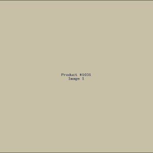Example Product 1031