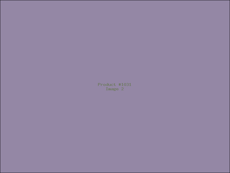 Example Product 1031 - Image 2