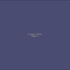Example Product 1034