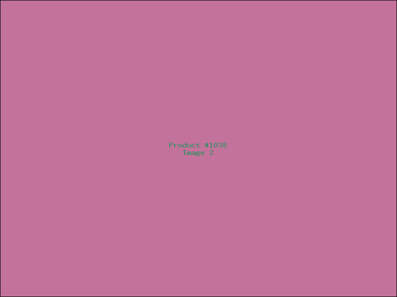 Example Product 1038 - Image 2