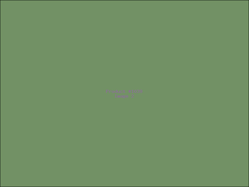 Example Product 1039 - Image 2