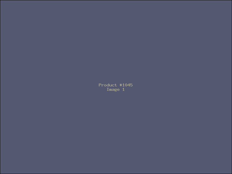 Example Product 1045