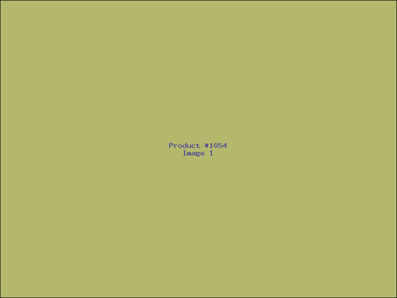 Example Product 1054