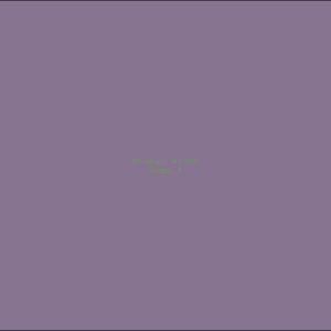 Example Product 1055