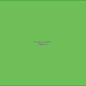 Example Product 1061