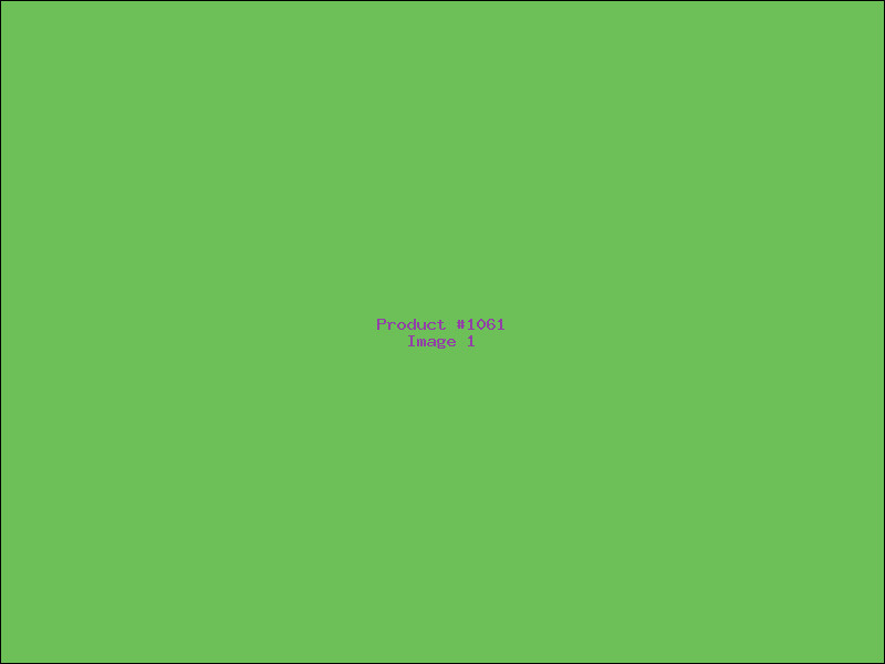 Example Product 1061