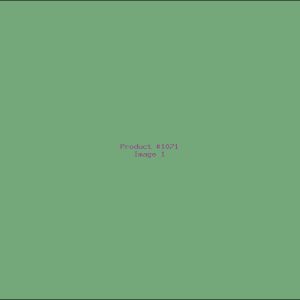Example Product 1071