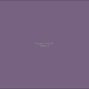 Example Product 1072