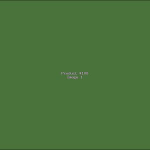 Example Product 108