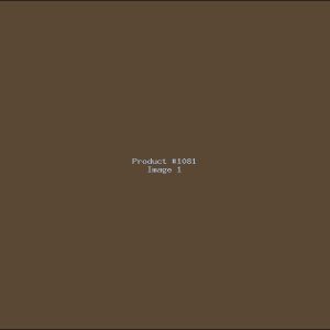 Example Product 1081
