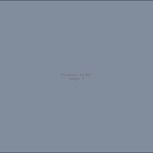 Example Product 1087