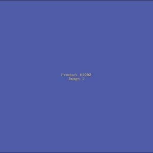 Example Product 1092