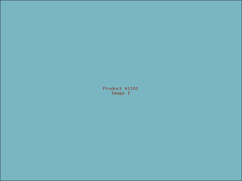 Example Product 1101