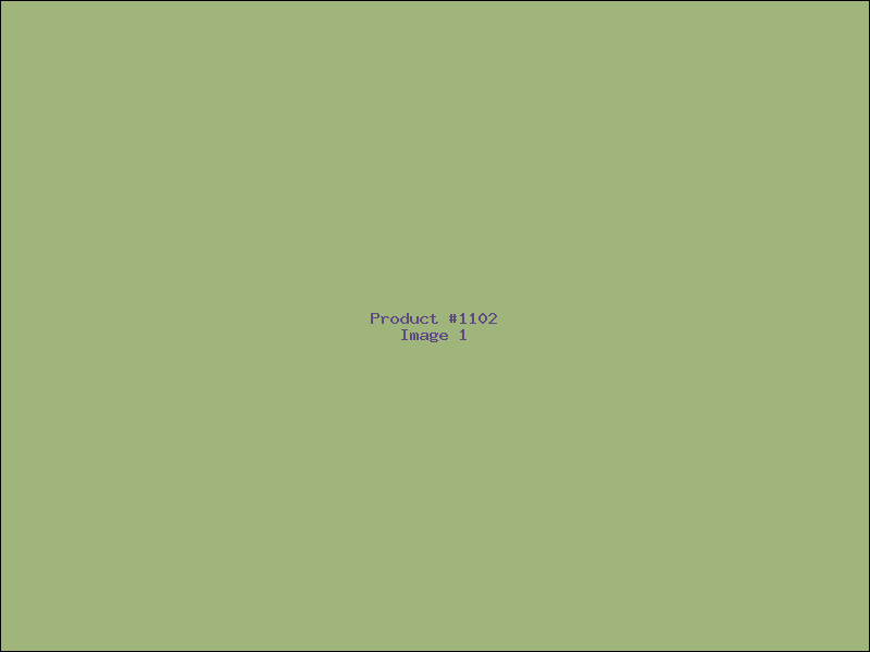 Example Product 1102