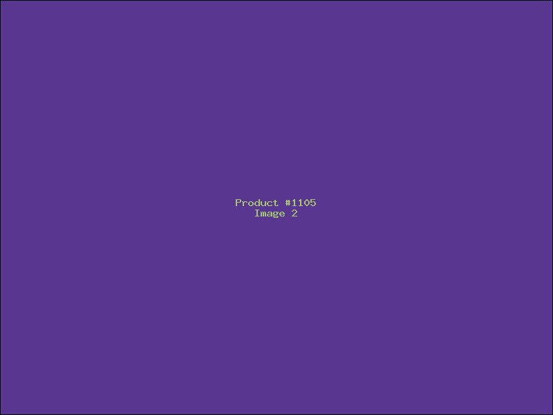 Example Product 1105 - Image 2