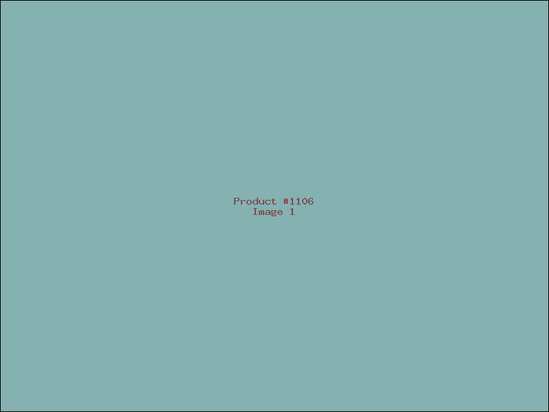 Example Product 1106
