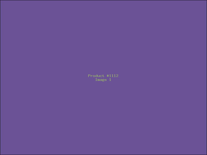 Example Product 1112