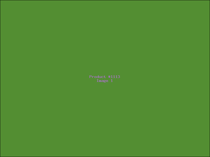 Example Product 1113