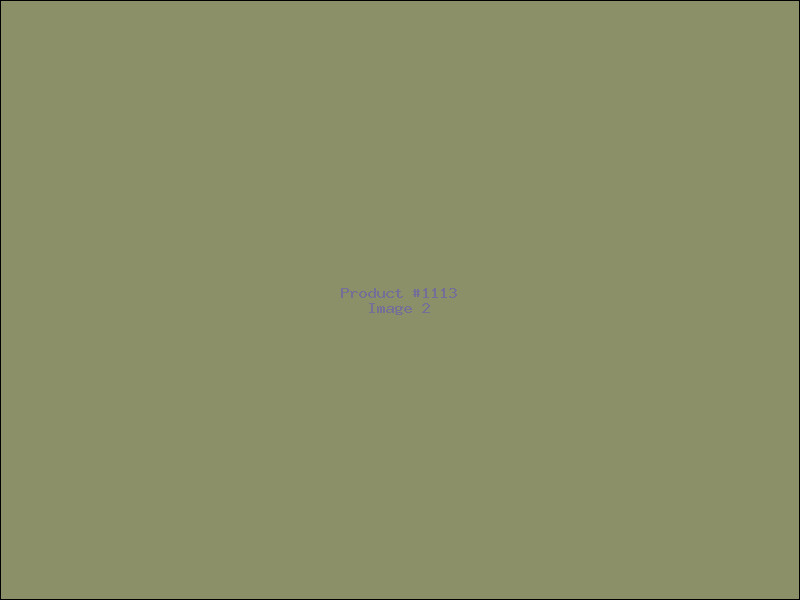 Example Product 1113 - Image 2