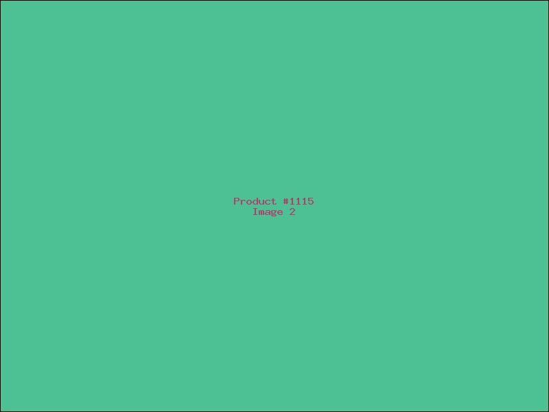 Example Product 1115 - Image 2