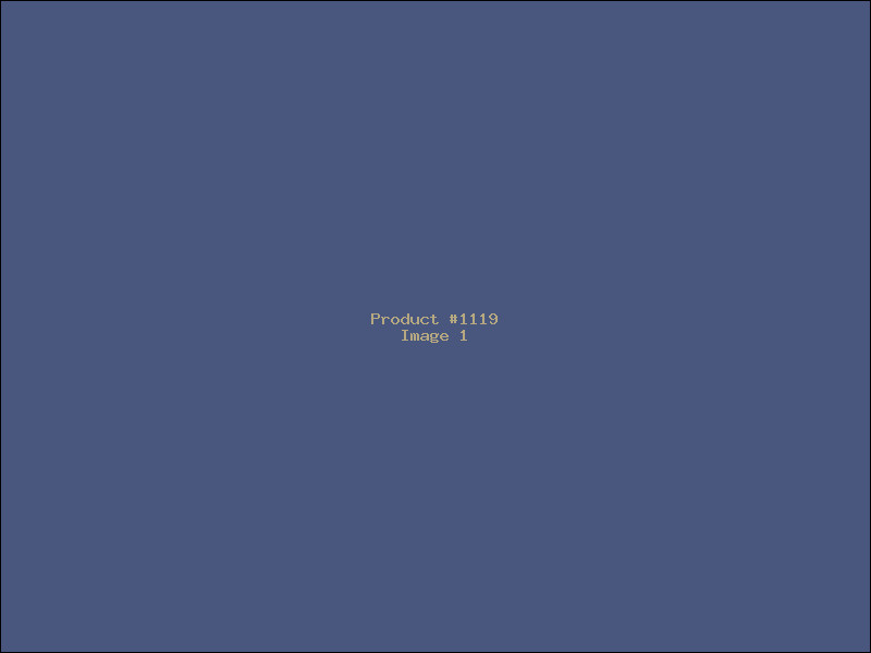 Example Product 1119