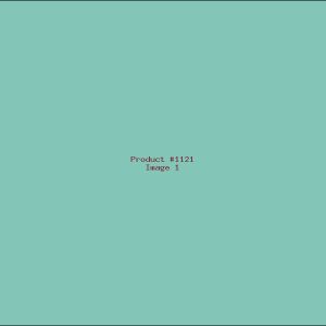 Example Product 1121