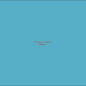 Example Product 1122