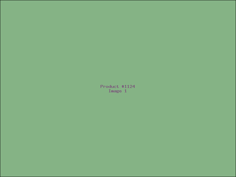 Example Product 1124