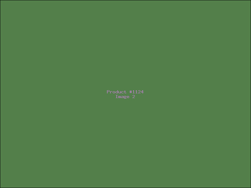 Example Product 1124 - Image 2