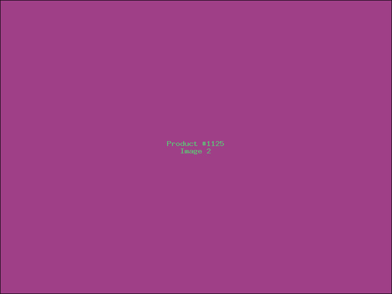Example Product 1125 - Image 2