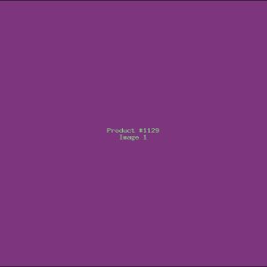 Example Product 1129