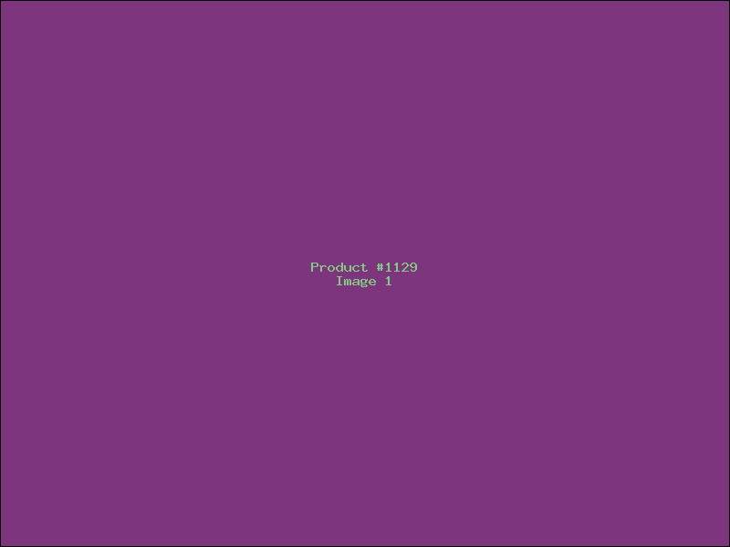 Example Product 1129