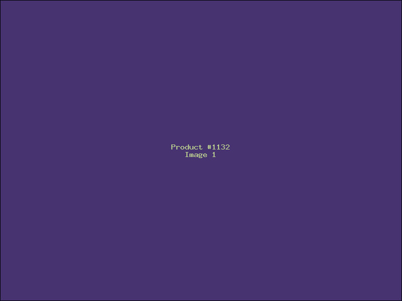 Example Product 1132