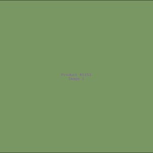 Example Product 1153